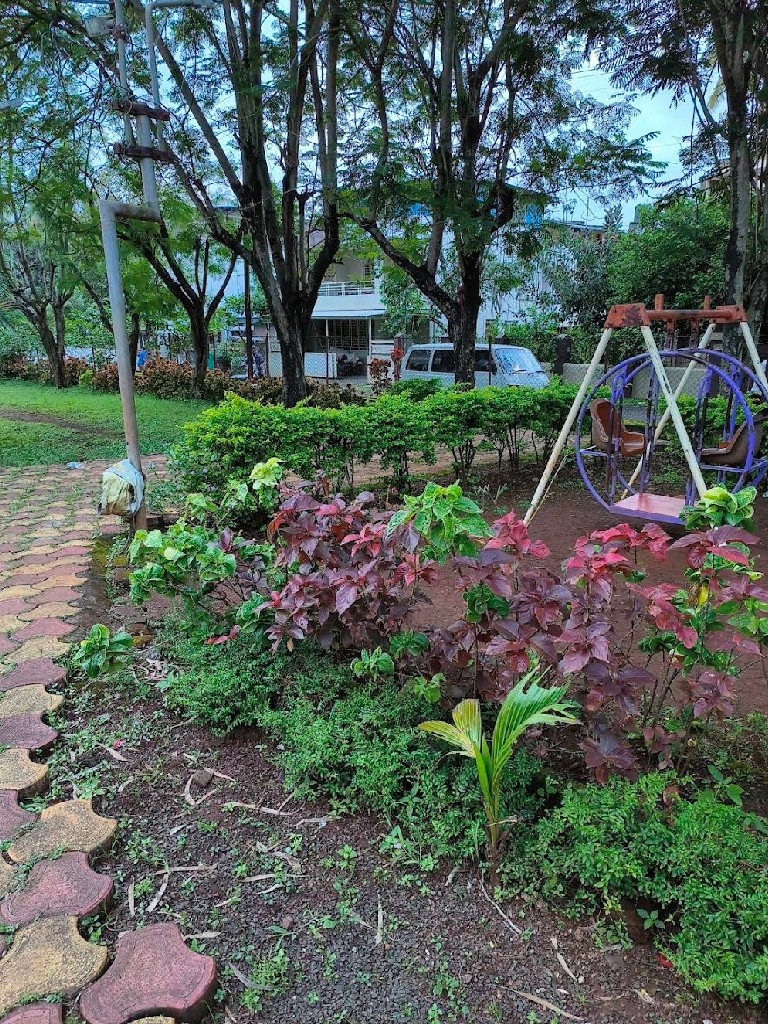 Story Image