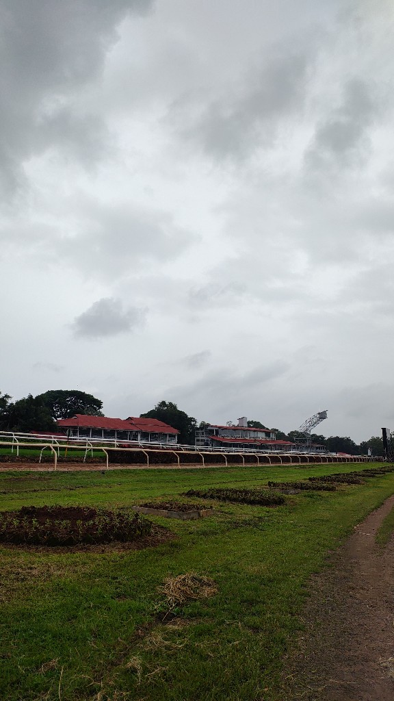 Story Image