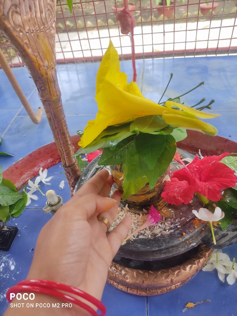 Story Image