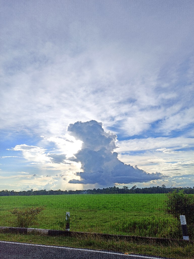 Story Image