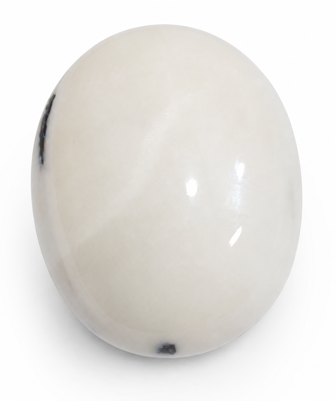 White Coral ( Swetha Pagadam)