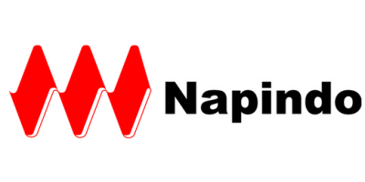 PT Napindo Media Ashatama Logo