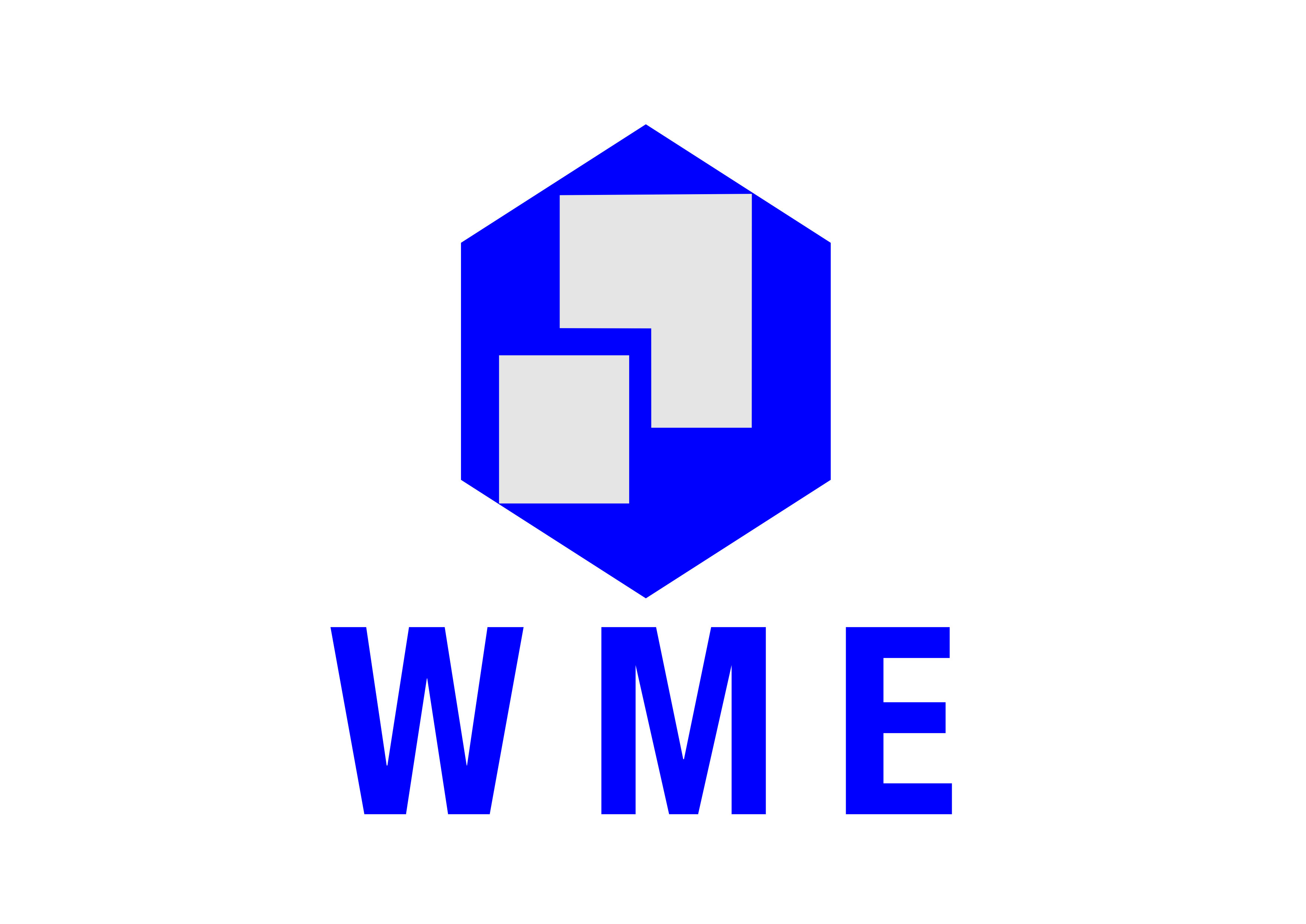 World Media & Expo LLP Logo