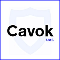 CAVOK Services Logo