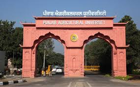 Punjab Agricultural University in Ludhiana
