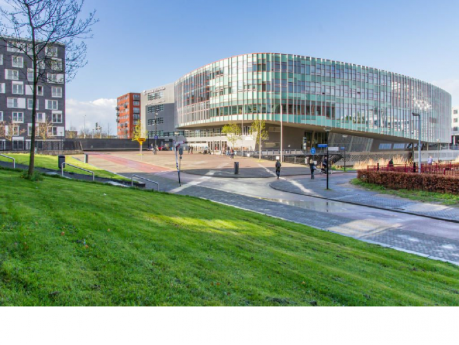 University Of Amsterdam Ib Requirements CollegeLearners