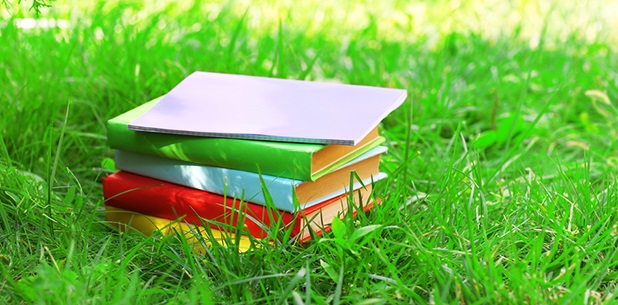 MAILCHECK Scholarship