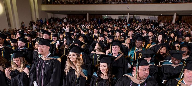 Felician University International Scholarships