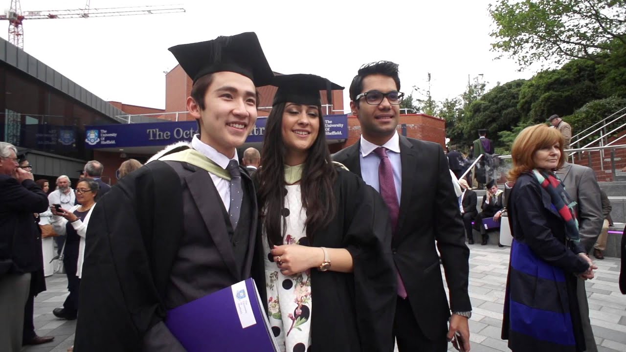 International Undergraduate Merit Scholarship