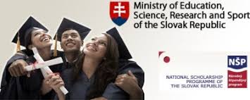 National Scholarship Programme of the Slovak Republic for university teachers researchers and artist