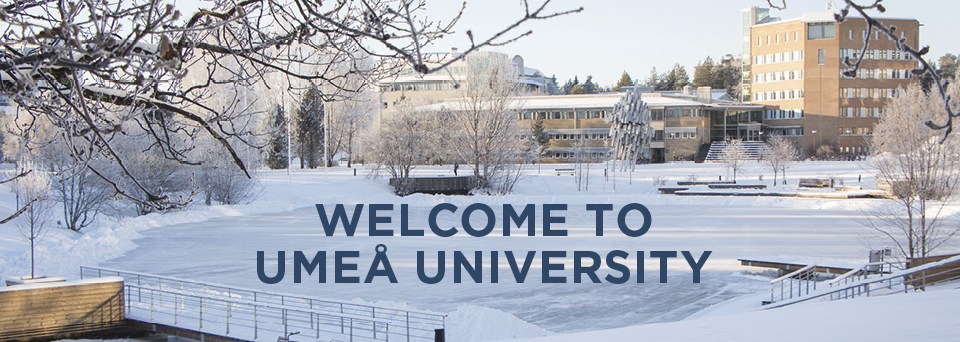Umea University Scholarships for International Students