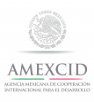 Mexican Government Scholarships