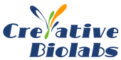 Creative Biolabs