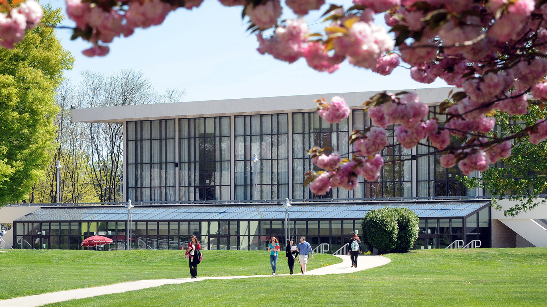 Rider University Application Deadlines Undergraduate Master Programs 