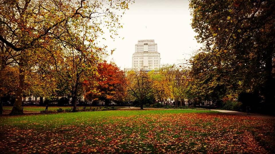 Personal statement examples image