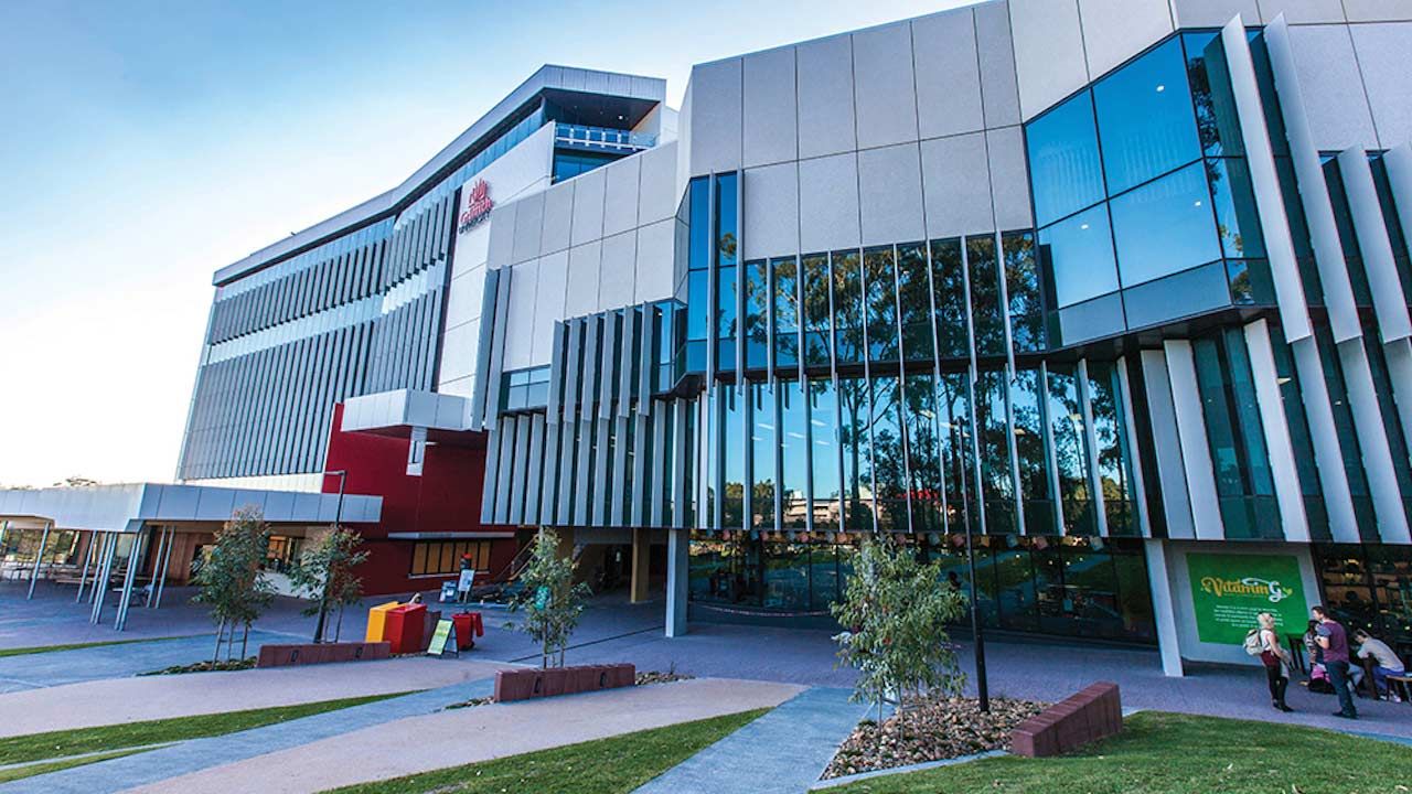 griffith university jumper
