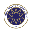 Yildiz Technical University