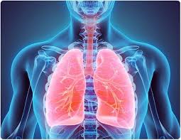 Understanding Lung Disease: COPD