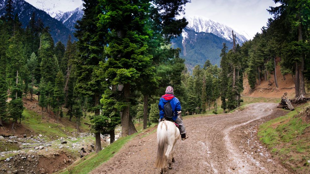 Heena Tours To Kashmir Heena Tours To Kashmir