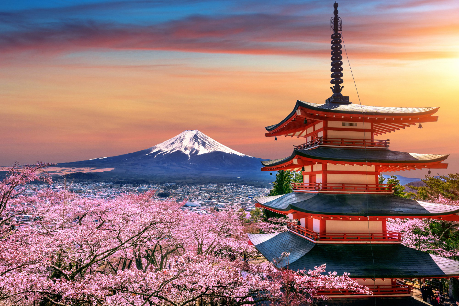Japan 