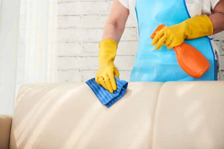 Sofa & Upholstery Cleaning