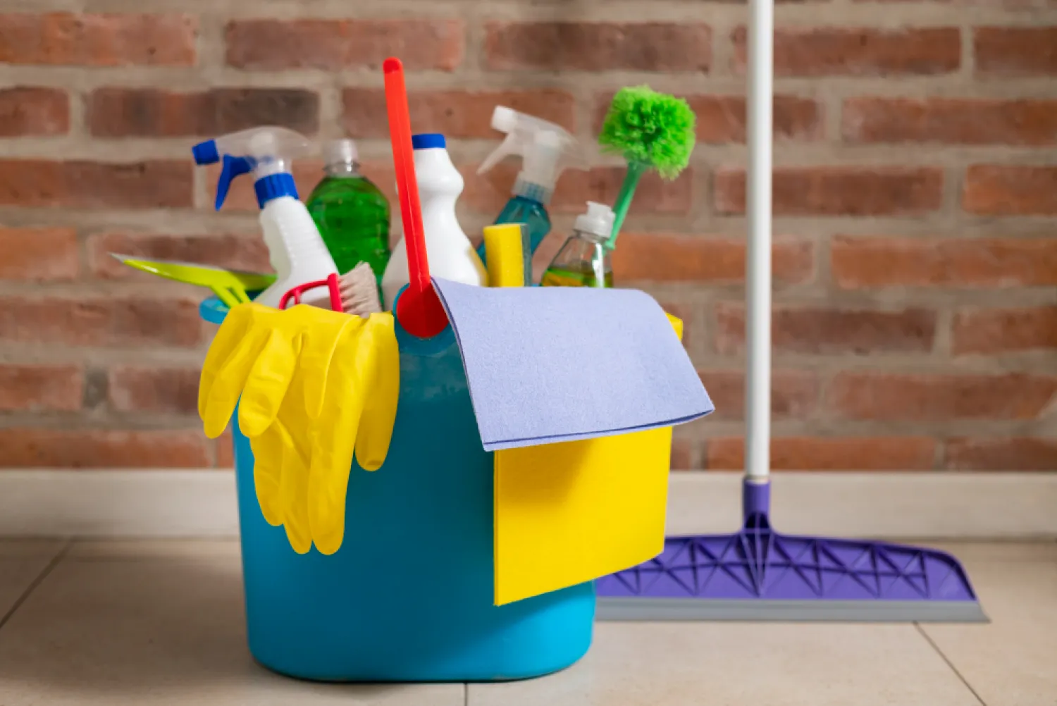 Move-In / Move-Out Cleaning