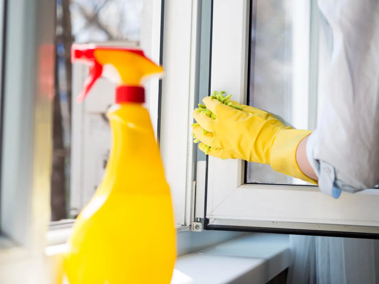 Post-Construction / Renovation Cleaning