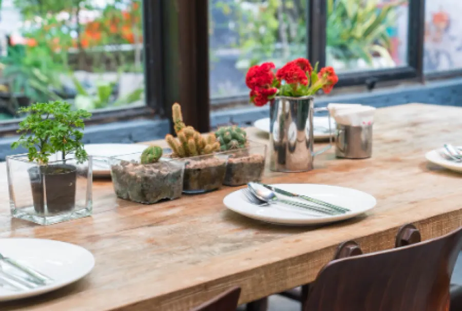 Dining Table and Chairs Cleaning