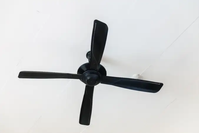 Ceiling Fan & cobweb Dusting(upto 1 room)