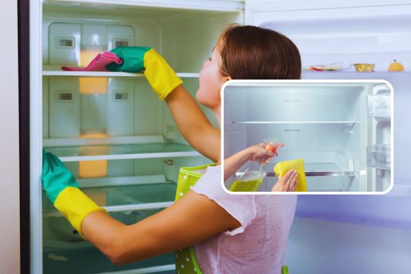 Refrigerator Check-Up & Cleaning Service