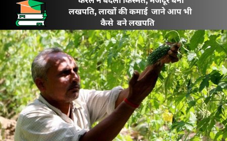 जिस खेत से आमदनी का था टोटा, अब 6 माह में करता है 8 लाख की कमाई,आप भी कर सकते है कमाई यहाँ जाने कैसे !