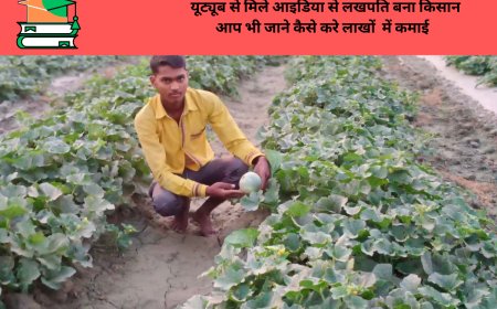 यूट्यूब से मिले आइडिया से लखपति बना किसान   आप भी जाने कैसे करे लाखों  में कमाई