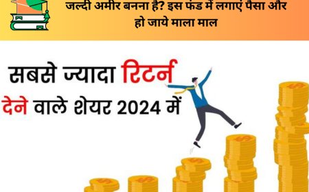 जल्दी अमीर बनना है? इस फंड में लगाएं पैसा और हो जाये माला माल