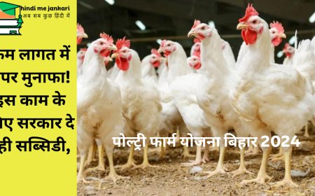 कम लागत में बंपर मुनाफा! इस काम के लिए सरकार दे रही सब्सिडी,आप भी मौका हाथ से न जाने दे !