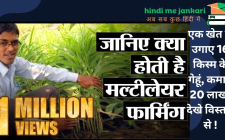 एक खेत से उगाए 16 किस्म के गेहूं, कमाए 20 लाख, देखे विस्तार से !