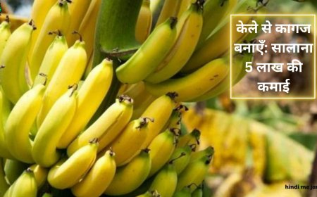 केले से कागज बनाएँ: सालाना 5 लाख की कमाई!