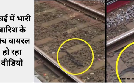 रेलवे की पटरियों के बीच तैरने लगीं मछलियां, मुंबई में भारी बारिश के बीच वायरल हो रहा वीडियो