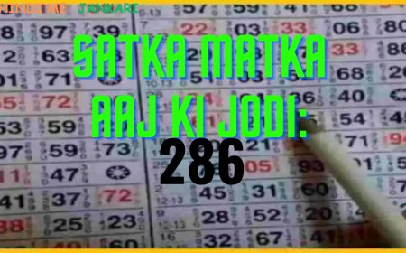 Satta King play - How to Play Satta 786 Desawar Result to Win Big Money in hindi