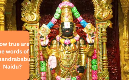 Tirupati Laddus Row: The TDP has alleged that 'beef tallow and animal fat' are being used in prasadam under the Jagan Mohan Reddy government. In response, the YSRCP has countered these claims, defending the integrity of the offerings.