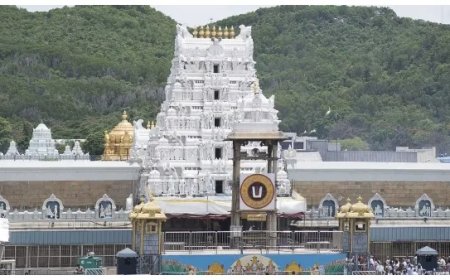 सुअर की चर्बी, मछली का तेल: तिरुपति बालाजी के लड्डू में बीफ टैलो का विवाद क्या है और कैसे हुआ खुलासा?