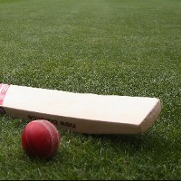 Essex chairman resigns over alleged use of racist language