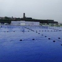 Nissanka hits fifty in rain curtailed start to second Test