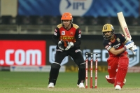 Royal Challengers Bangalore v Sunrisers Hyderabad, IPL 2020, Match 52: Fantasy Preview