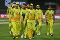 How can Chennai Super Kings bounce back next season?
