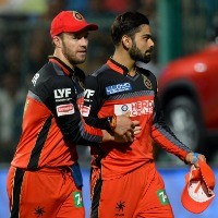 IPL Quiz: How well do you know Royal Challengers Bangalore?
