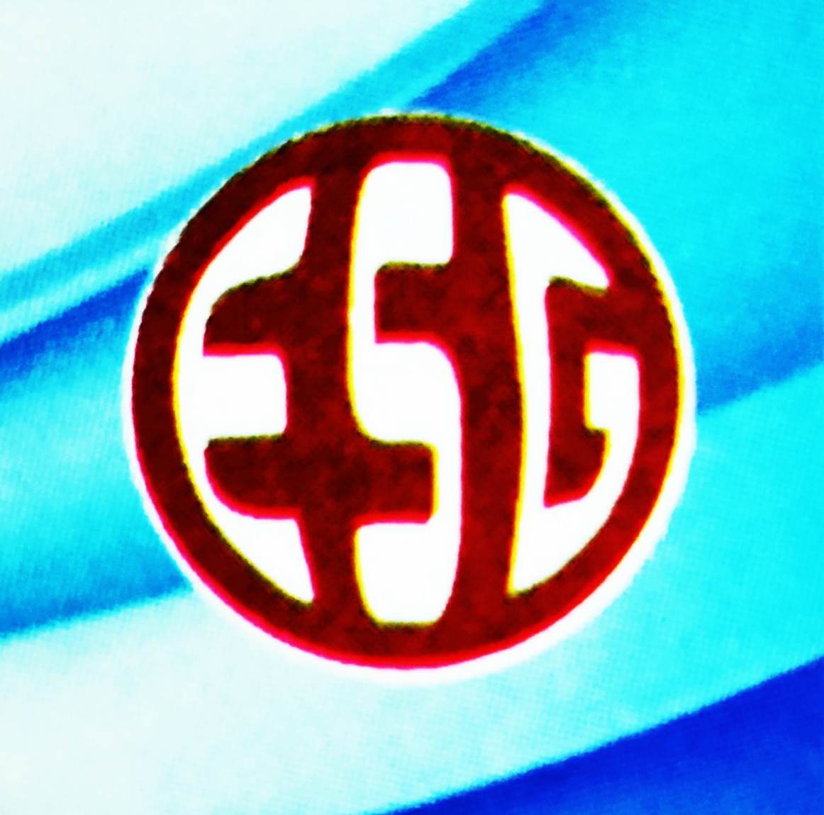 EVER SHINE GROUP CO. EVER SHINE GROUP CO.
