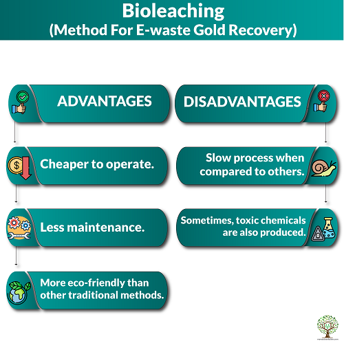 Bioleaching Method For E-waste Gold Recovery