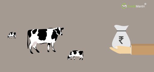 Animal Husbandry Loan