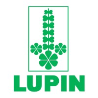 Lupin Lupin