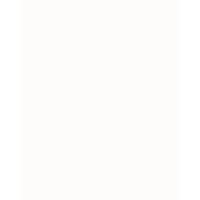 Reliance Nippon Life Insurance Reliance Nippon Life Insurance